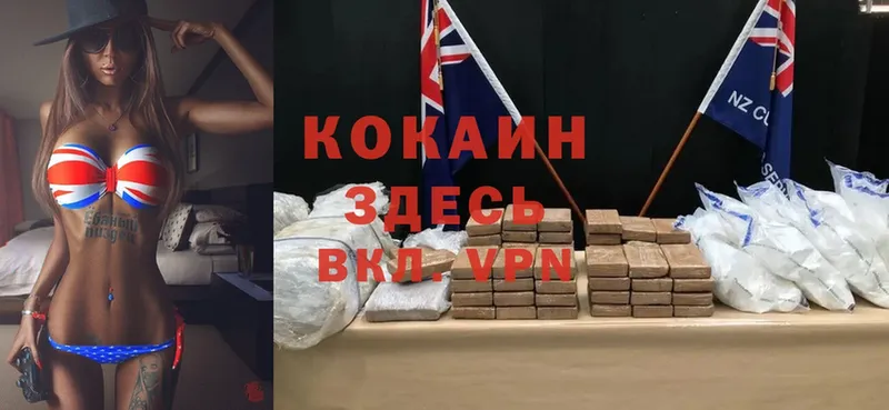 где найти наркотики  Дигора  Cocaine Эквадор 